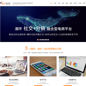 澳环网站设计