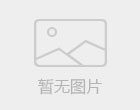 百分网网站截图