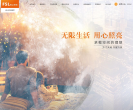 佛山照明网站截图预览