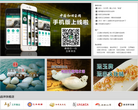 中国和田玉网网站logo - “电脑网络”网站目录优质网站推荐
