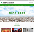 中棉种业网站截图