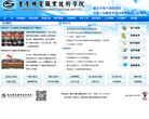 重庆机电职业技术学院网站截图预览