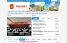 定边县人民政府网网站截图预览