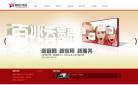 鹏博士电信传媒集团网站截图预览