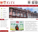 复旦大学附属华山医院网站截图预览