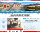 喀什政府信息网网站截图预览