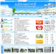 六安市毛坦厂中学网站截图