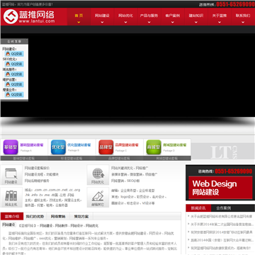 蓝推网络网站截图预览
