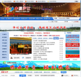 中国▪庐江网站截图