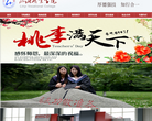 临沂职业学院网站截图预览