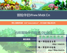 伴侣主页网站截图预览