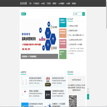 长沙seo强网站截图预览