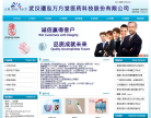 璟泓科技网站截图预览