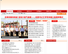 望江县人民政府网站截图