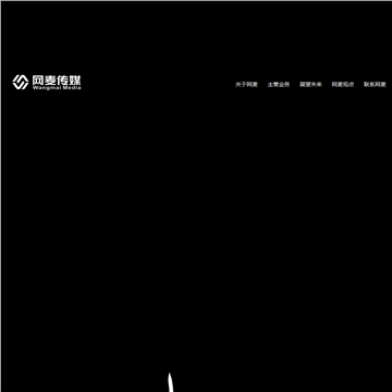 网麦传媒网站截图预览