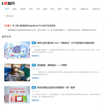 威智网网站截图