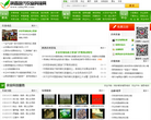现代农业网站截图预览